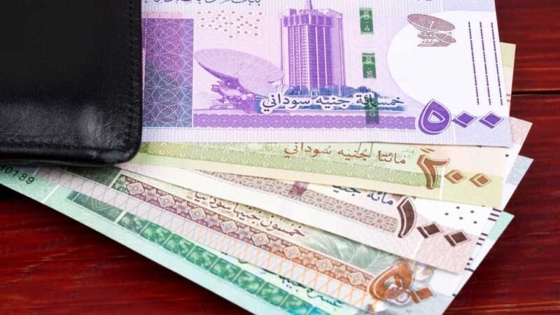 السودان يفقد مليارات الدولارات سنوياً جراء تراجع تحويلات المغتربين