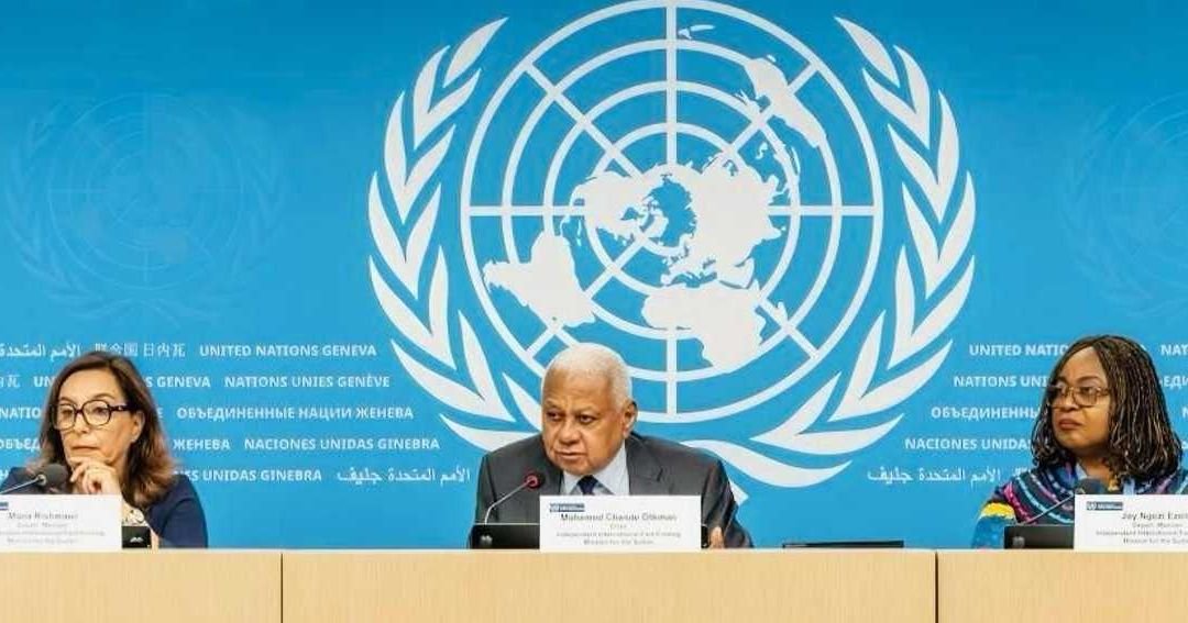 لجنة أممية توصي بفرض حظر شامل للسلاح على كافة الأراضي السودانية