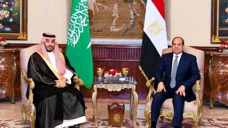 مصر والسعودية تؤكدان أولوية تأمين الملاحة في هرمز وباب المندب